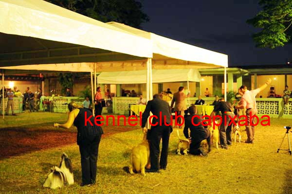 Clique sobre a foto para fechar